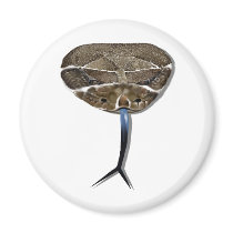Rattle Snake Head Magnet by Lotacats Rattle Snake Head Magnet