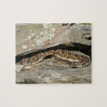 Rattlesnake at Shenandoah National Park Puzzle