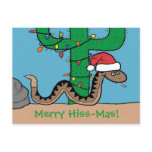Rattlesnake Christmas Cactus Post Cards