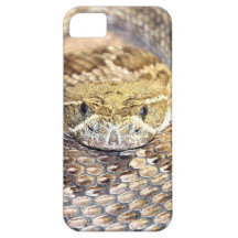 Rattlesnake face iPhone 5 cases