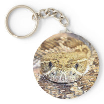 Rattlesnake Key Chains