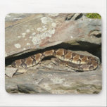 Rattlesnake Mousepad