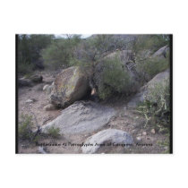 Rattlesnake postcards