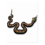 Rattlesnake Postcard