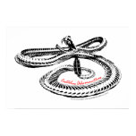 Rattlesnake poster