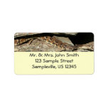 Rattlesnake Return Address Label