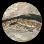 Rattlesnake Sticker