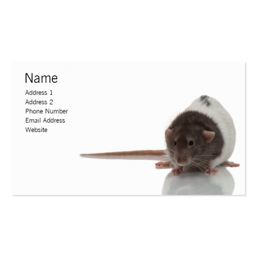 Ratty Profile Card Business Card Templates