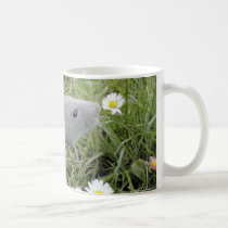 Ratty Smelling the Daisies mugs