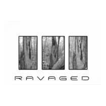 Ravaged posters by windwalker Ravaged posters