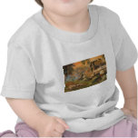 Raven 42 by James Dietz T-shirt
