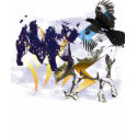 Raven, Bear, Unicorn t-shirts by zeldakix17 Raven, Bear, Unicorn t-shirts