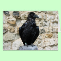 Raven cards by life4paws Raven cards