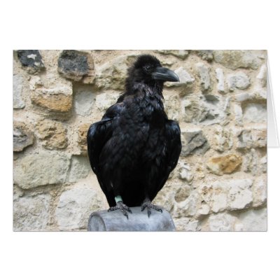 Raven Greeting Card by life4paws