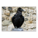 Raven cards
