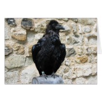 Raven cards