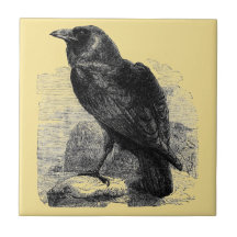 Raven Corvus Ceramic Tiles