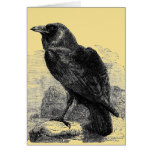 Raven Corvus Greeting Card
