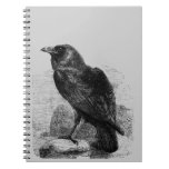 Raven Corvus Notebooks