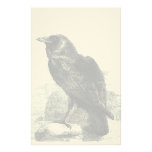 Raven Corvus Stationery Design