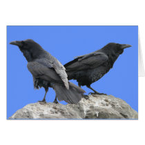 Raven Crow Couple - 2 Crows Ravens Cards