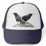 Raven Crow Couple - 2 Crows Ravens hats
