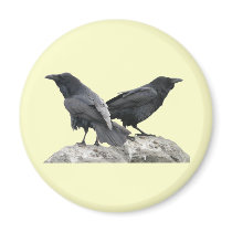 Raven Crow Couple - 2 Crows Ravens Fridge Magnets