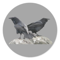 Raven Crow Couple - 2 Crows Ravens Stickers