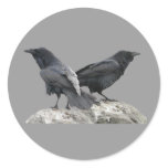 Raven Crow Couple - 2 Crows Ravens stickers