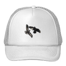 Raven Dance Trucker Hats