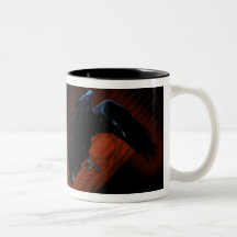 Raven Descent Coffee Mugs
