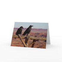 Raven Fence cards