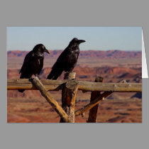 Raven Fence cards