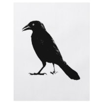 Raven Full Color Flyer