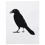 Raven flyers
