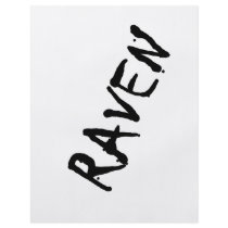 Raven flyers by Paintedlynx Raven flyers