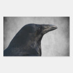 Raven Glamour Shot Rectangle Stickers