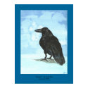 "Raven II " posters by cnlbell "Raven II " posters