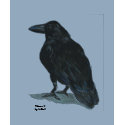 Raven II w/Poe quote t-shirts by cnlbell Raven II w/Poe quote t-shirts