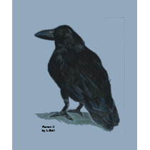 Raven II w/Poe quote t-shirts by cnlbell Raven II w/Poe quote t-shirts