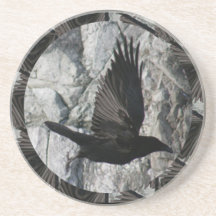 Raven in Flight Coaster