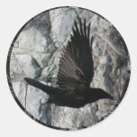 Raven in Flight Round Sticker
