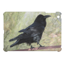Raven iPad Mini Case