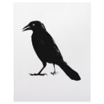 Raven letterhead