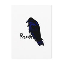 Raven on Raven postcards