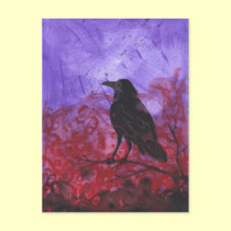 Raven on Red + Purple abstract crow art postcard postcards