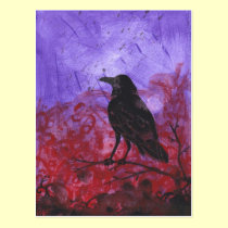 Raven on Red + Purple abstract crow art postcard postcards