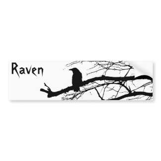 Raven on the Tree bumpersticker