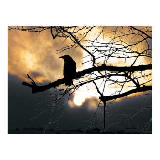 Raven on the Tree print