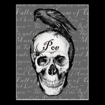 Raven Poe Postcard postcards